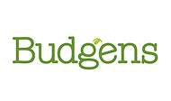 Open Budgens